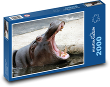 Hroch - zviera, pusa Puzzle 2000 dielikov - 90 x 60 cm