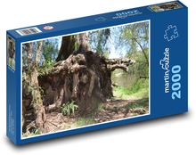 Drzewa - korzenie, kora Puzzle 2000 elementów - 90x60 cm