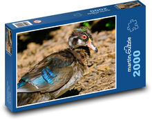 Kačica - vták, zviera Puzzle 2000 dielikov - 90 x 60 cm