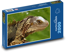 Iguana - lizard, Florida Puzzle 2000 pieces - 90 x 60 cm