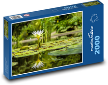 Weiße Seerose - Reflexion im Wasser, Teich Puzzle 2000 Teile - 90 x 60 cm