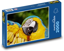 Papoušek - ara, pták Puzzle 2000 dílků - 90 x 60 cm