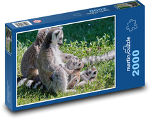Lemur - opice, mláďata Puzzle 2000 dílků - 90 x 60 cm