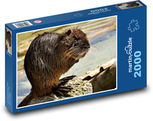 Nutria - zviera, vodná krysa Puzzle 2000 dielikov - 90 x 60 cm