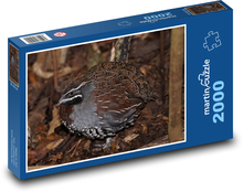 Wachtel - Vogel, Tier Puzzle 2000 Teile - 90 x 60 cm