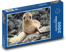 Seelöwe - Galapagos, Jungtier Puzzle 2000 Teile - 90 x 60 cm