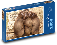 Baboons - monkeys, animals Puzzle 2000 pieces - 90 x 60 cm