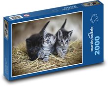 Kätzchen - Katzen, Tiere Puzzle 2000 Teile - 90 x 60 cm