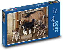 Kozy - kozľatá, zvieratá Puzzle 2000 dielikov - 90 x 60 cm