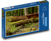 Wald - Bach, Bäume Puzzle 2000 Teile - 90 x 60 cm