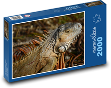 Leguán - ještěrka, plaz Puzzle 2000 dílků - 90 x 60 cm