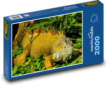 Leguán - plaz, zviera Puzzle 2000 dielikov - 90 x 60 cm