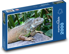 Leguan - Reptil, Tier, Zoo Puzzle 2000 Teile - 90 x 60 cm