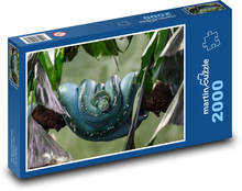 Had - plaz, zoo Puzzle 2000 - 90x60 cm