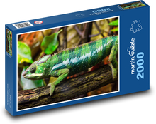 Chameleon - reptile, lizard Puzzle 2000 pieces - 90 x 60 cm