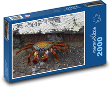 Krab - kôrovec, zviera Puzzle 2000 dielikov - 90 x 60 cm