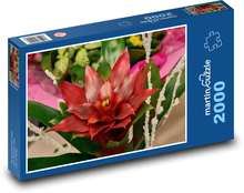 Červená květina - květ, zahrada Puzzle 2000 - 90x60 cm
