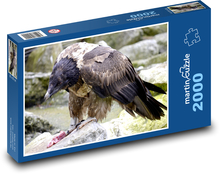 Geier - Raubvogel, Tier Puzzle 2000 Teile - 90 x 60 cm