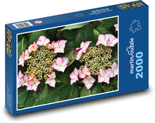 Hortensja - kwiaty, ogród Puzzle 2000 elementów - 90x60 cm