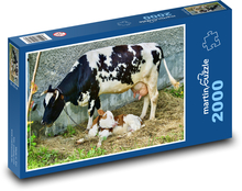 Krava - teľa, zviera Puzzle 2000 dielikov - 90 x 60 cm