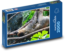 Faultier - Klettern, Tier Puzzle 2000 Teile - 90 x 60 cm