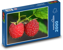 Raspberries - red fruit, food Puzzle 2000 pieces - 90 x 60 cm