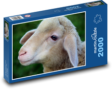 Jagnięcina - młoda, owca Puzzle 2000 elementów - 90x60 cm