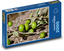 Zelené olivy - rostlina, příroda Puzzle 2000 dílků - 90 x 60 cm