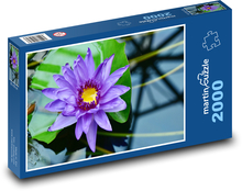 Purple water lily - water plant, flower Puzzle 2000 pieces - 90 x 60 cm
