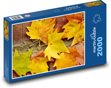 Maple leaves - autumn, nature Puzzle 2000 pieces - 90 x 60 cm