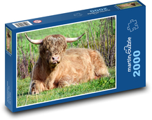 Bull - animal, farm Puzzle 2000 pieces - 90 x 60 cm