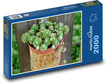 Kaktus - Blumentopf, Dekoration Puzzle 2000 Teile - 90 x 60 cm