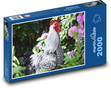 Kohút - domáce zviera, farma Puzzle 2000 dielikov - 90 x 60 cm