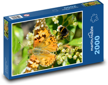 Motýl - čmelák, hmyz Puzzle 2000 dílků - 90 x 60 cm
