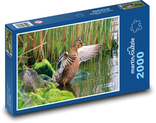 Kachna - divoký pták, voda Puzzle 2000 dílků - 90 x 60 cm