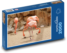 Plameňáci - ptáci, zoo Puzzle 2000 - 90x60 cm