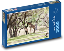 Žirafa - zvieratá, zoo Puzzle 2000 dielikov - 90 x 60 cm