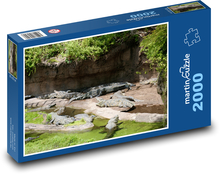 Alligatoren - Krokodil Puzzle 2000 Teile - 90 x 60 cm