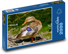 Zvíře - kačena Puzzle 2000 dílků - 90 x 60 cm