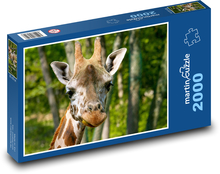 Giraffe - Giraffenkopf Puzzle 2000 Teile - 90 x 60 cm