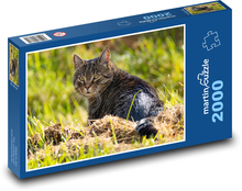 Kočka - louka, mazlíček Puzzle 2000 dílků - 90 x 60 cm