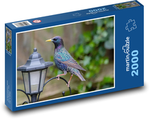 Špaček - pták, lampa Puzzle 2000 dílků - 90 x 60 cm