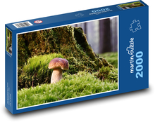 Mushroom - moss, forest Puzzle 2000 pieces - 90 x 60 cm