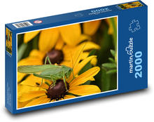 Saranče - hmyz, květ Puzzle 2000 dílků - 90 x 60 cm