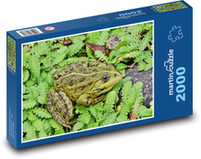 Žába - zvíře, obojživelník Puzzle 2000 dílků - 90 x 60 cm