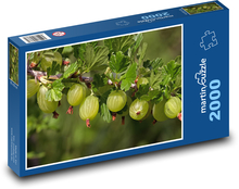 Stachelbeere - Frucht, Pflanze Puzzle 2000 Teile - 90 x 60 cm