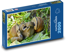 Schnecke - Schnecke, Tier Puzzle 2000 Teile - 90 x 60 cm