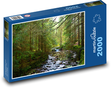 Forest - brook, nature Puzzle 2000 pieces - 90 x 60 cm