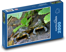 Schildkröten - Reptilien, Tiere Puzzle 2000 Teile - 90 x 60 cm