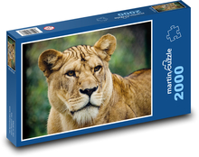 Levica - veľká mačka, predátor Puzzle 2000 dielikov - 90 x 60 cm